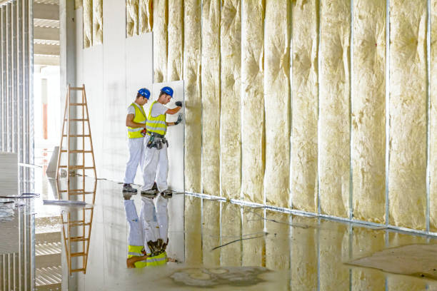 Best Eco-Friendly Insulation in Hastings On Hudson, NY
